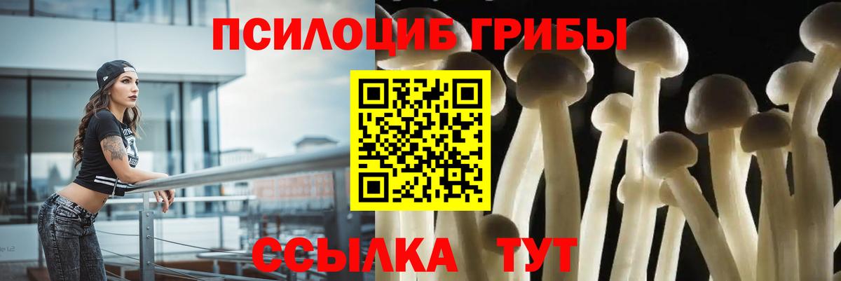 Псилоцибиновые грибы GOLDEN TEACHER Бор